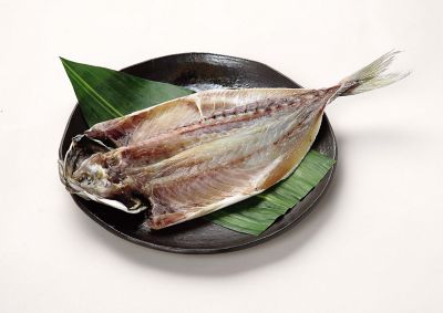 ＜魚勢＞ごんあじ