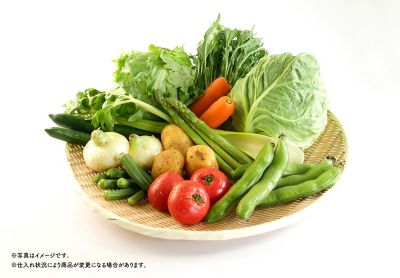 0411251001355an_2022_4