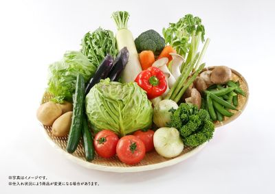 0411251001362an_2022_3