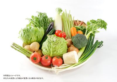 0411251002123an_2022_3