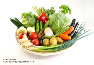 ＜吉田青果＞４月全国の旬野菜Ｌセット　　　　　　　　　　　　　　　　お届け期間４月４日（土）～５月３日（日）