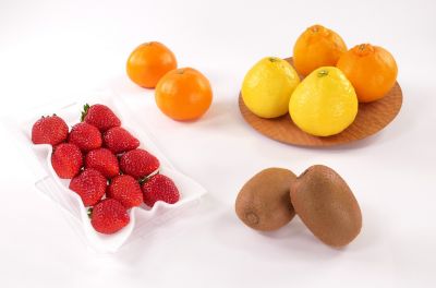 0411257001199an_2022_2