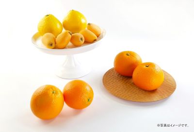 0411257001199an_2022_4