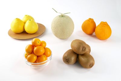 0411257001205an_2022_3