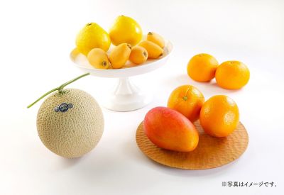 0411258000665an_2022_4