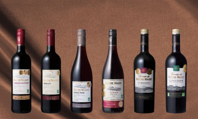 セール（SALE） ワイン・スパークリングワイン（フード） の通販