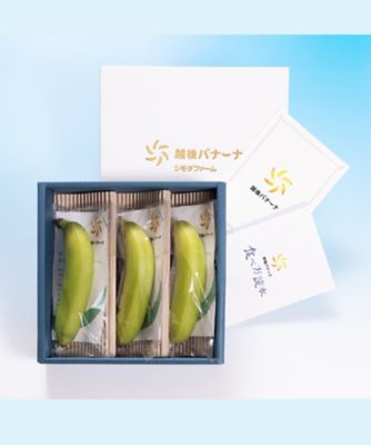 ＜NIIGATA 越品＞【越品】シモダ・ファーム　越後バナーナ