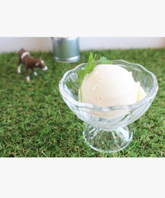 【越品】加勢牧場　ガンジーアイスクリーム１２個入