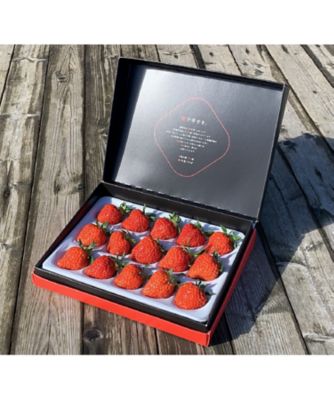 ＜NIIGATA 越品＞【越品】雪国完熟いちご越後姫　シングル　苺の花ことば　