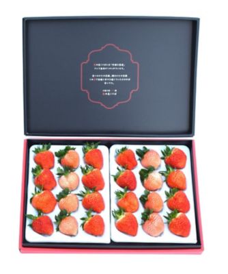 ＜NIIGATA 越品＞【越品】雪国完熟いちご越後姫・桃薫紅白　ダブルセット　苺の花ことば　