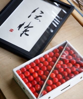 NIIGATA 越品/ニイガタ エッピン 【越品】佐藤錦大粒２Ｌサイズ１ｋｇ特秀品バラ手詰め　※６月上旬以降お届け　　さくらんぼ屋伝作　ＳＥＩＲＯ　ＦＲＵＩＴ　ＶＩＬＬＡＧＥ
