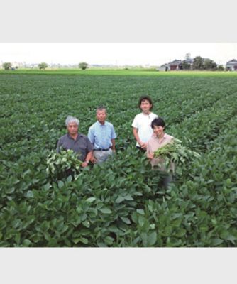 【越品】産直にいがたグループの黒埼茶豆（ＳＡＮ－８）　※８月上旬以降随時お届け予定
