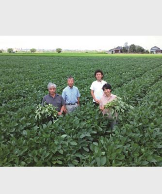 【越品】産直にいがたグループの黒埼茶豆（ＳＡＮ－２０）　※８月上旬以降随時お届け予定