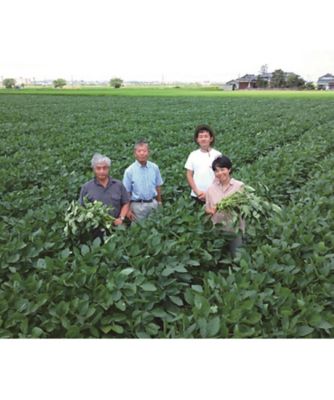 【越品】産直にいがたグループの黒埼茶豆（ＳＡＮ－６）　※８月上旬以降随時お届け予定