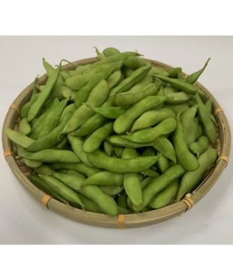 【越品】黒鳥茶豆の会がつくる黒埼茶豆　８月以降お届け