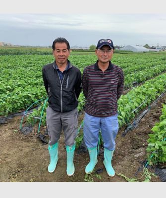 【越品】黒鳥茶豆の会がつくる黒埼茶豆　８月以降お届け