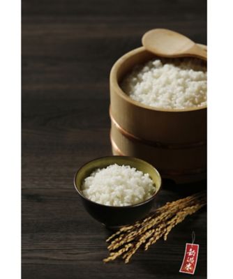 【越品】塩沢産新之助　５ｋｇ×２