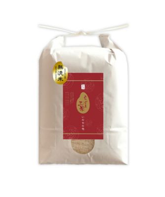 ＜NIIGATA 越品＞【越品】無洗米　新潟産いのちの壱