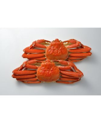【越品】角上魚類　かに三昧セット