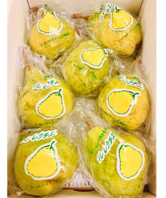 NIIGATA 越品/ニイガタ エッピン (ご自宅用)産直にいがたグループの「ル・レクチェ」5~8玉(2Kg)11月下旬以降お届け 果物・冷凍フルーツ【Web限定】【三越伊勢丹/公式】