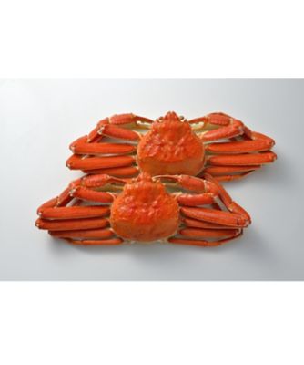 【越品】角上魚類　ずわいがに姿　９００ｇ×２
