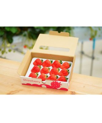 NIIGATA 越品/ニイガタ エッピン 【越品】Ｒｉｐｉ　ｆａｒｍの越後姫　１２～１５粒入