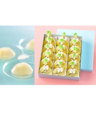 ＜NIIGATA 越品＞【越品】ヤマトヤ　ふるさと銘菓Ｃ　ＭＹＡ－０３