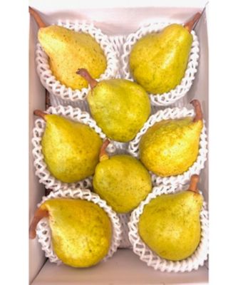 ＜NIIGATA 越品＞【越品】加茂市／西村農園の「ル・レクチェ」１２月上旬以降お届け予定