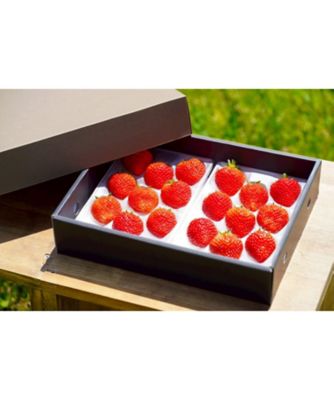 ＜NIIGATA 越品＞【越品】Ｒｉｐｉ　ｆａｒｍの越後姫　１８～２２粒