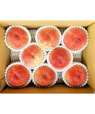 NIIGATA 越品/ニイガタ エッピン 【越品】しろね関根さんの桃　７月中旬随時お届け予定