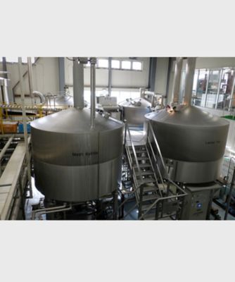 【越品】エチゴビール詰合せ１２本入