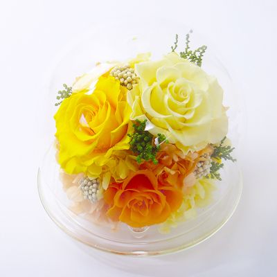 プリザーブドフラワー アーティフィシャルフラワー ホーム キッチン アート 一覧 三越伊勢丹オンラインストア 公式