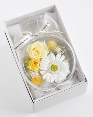 ＜FLORAL NEW YORK＞パフューム　ラウンドイエロー　プリザーブドフラワー