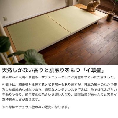 受注商品】LIVING BED セミダブル | 建築家二人暮らし