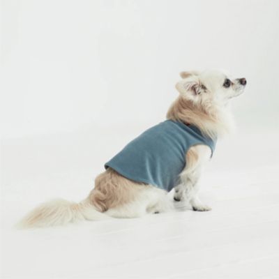 ＜Paddy by WAFONA＞ｄｙｔｅｍ　”ｐａｌｍ”　ＳＡＸ　ＢＬＵＥ．