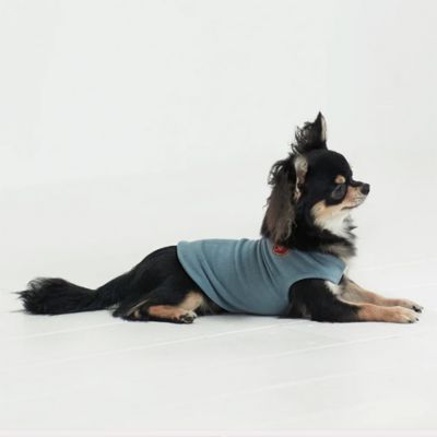 dytem ”palm” SAX BLUE． | Paddy by WAFONA/パディ