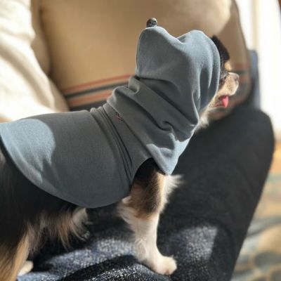 dytem ”palm” SAX BLUE． | Paddy by WAFONA/パディ