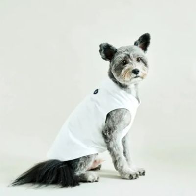 ＜Paddy by WAFONA＞ｄｙｔｅｍ　”ｓｈａｄｅ”　ＰＵＲＥ　ＷＨＩＴＥ．
