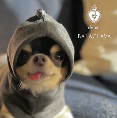 ｄｙｔｅｍ　”ｐａｌｍ”　ＢＡＬＡＣＬＡＶＡ　ＧＲＡＹ．