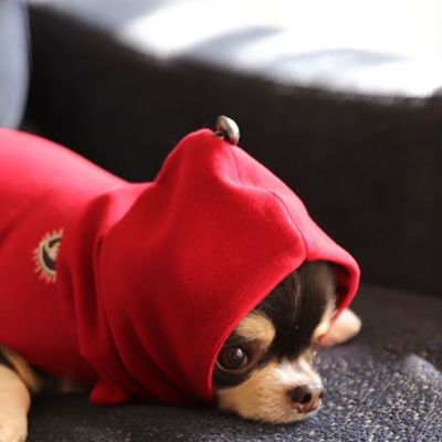 ＜Paddy by WAFONA＞ｄｙｔｅｍ　”ｐａｌｍ”　ＢＡＬＡＣＬＡＶＡ　ＤＥＥＰ　ＲＥＤ．