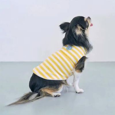 Paddy by WAFONA/パディ バイ ワフォナ dytem ”shade” BORDER YELLOW