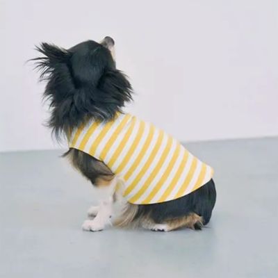 ｄｙｔｅｍ　”ｓｈａｄｅ”　ＢＯＲＤＥＲ　ＹＥＬＬＯＷ