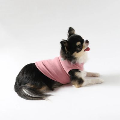 ＜Paddy by WAFONA＞ｄｙｔｅｍ　”ｐａｌｍ”　Ｆａｉｒｙ　Ｐｉｎｋ．