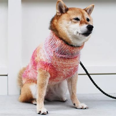 ＜Paddy by WAFONA＞＜ＨＹＧＧＥＬＥ×Ｐａｄｄｙ＞ＳＰＡＣＥ　ＤＹＥ　ＬＡＭＥ　ＫＮＩＴ