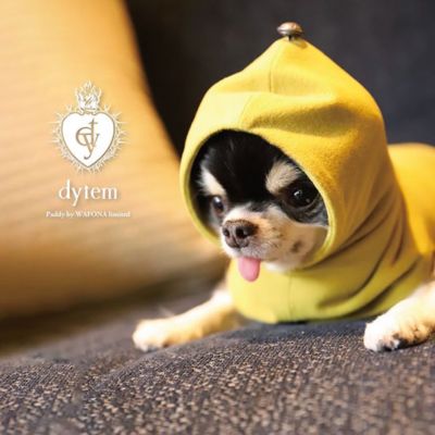 Paddy by WAFONA/パディ バイ ワフォナ dytem ”palm” BALACLAVA MUSTARD YELLOW.