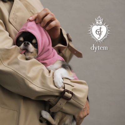 ｄｙｔｅｍ　”ｐａｌｍ”　ＢＡＬＡＣＬＡＶＡ　Ｆａｉｒｙ　Ｐｉｎｋ．