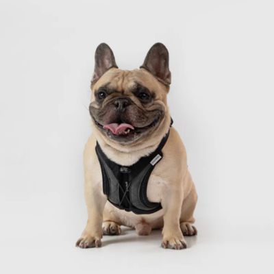＜ＳＰＵＴＮＩＫ＞ＵＸ　Ｈａｒｎｅｓｓ　Ｂｌａｃｋ