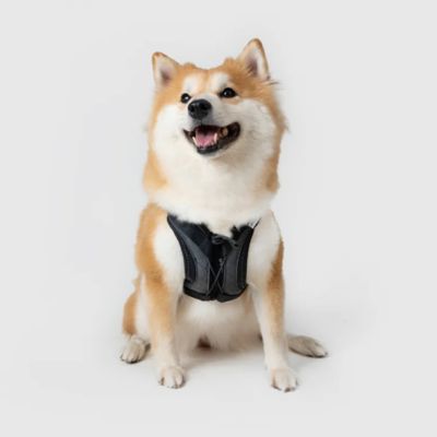 ＜ＳＰＵＴＮＩＫ＞ＵＸ　Ｈａｒｎｅｓｓ　Ｂｌａｃｋ