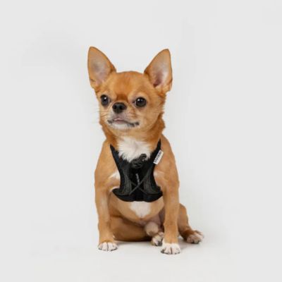 ＜ＳＰＵＴＮＩＫ＞ＵＸ　Ｈａｒｎｅｓｓ　Ｂｌａｃｋ