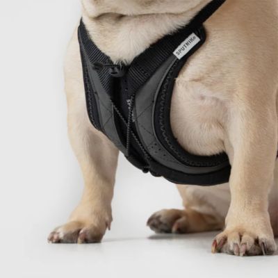 ＜ＳＰＵＴＮＩＫ＞ＵＸ　Ｈａｒｎｅｓｓ　Ｂｌａｃｋ
